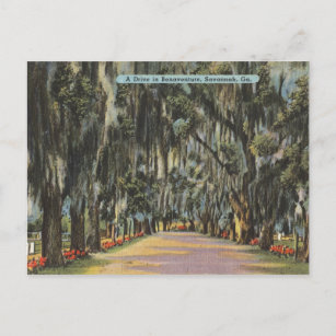 Bonaventure Drive Savannah GA Retro Postkarte