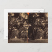 Bonaventure Friedhof, Savannah, Ga c. 1886 Postkarte (Vorne/Hinten)