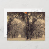 Bonaventure Friedhof, Savannah, Ga c. 1887 Postkarte (Vorne/Hinten)