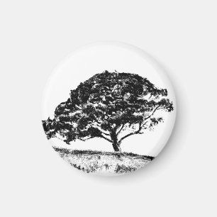 Bonaventure Pine Magnet