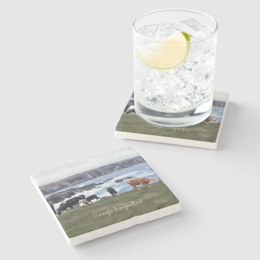 Bonavista Neufundland Steinuntersetzer (Seitenansicht)