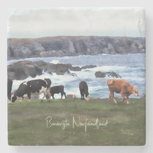 Bonavista Neufundland Steinuntersetzer (Vorderseite)