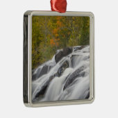 Bond Falls on the Middle Fork of the Ontonagon Silbernes Ornament (Rechts)