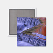 Bond Falls; Reflection Fall-Farbige Blätter; Magnet (Vorderseite/Rückseite)