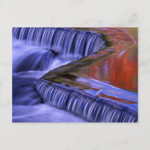 Bond Falls; Reflektierende herbstfarbene Blätter; Postkarte