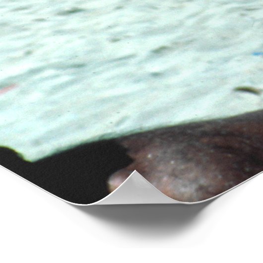 Bondi Beach Poster (Ecke)