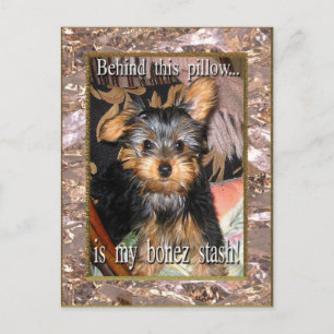 Bone Stash Yorkie Postkarte