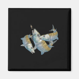 Bonefish-Jagd Ein Salz Wasser Fliegenfischen &amp; Magnet