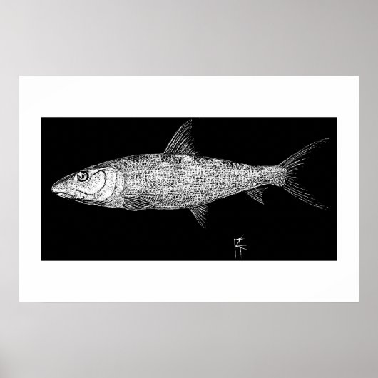 Bonefish Scratch Art Poster (Vorne)