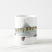 Bonefish Tasse (Mittel)