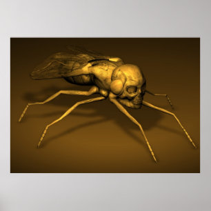 Bonehead Fly Poster