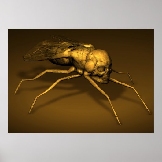 Bonehead Fly Poster (Vorne)