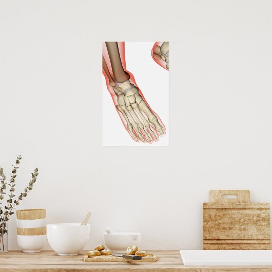 Bones of the Foot 15 Poster (Küche)