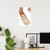 Bones of the Foot 15 Poster (Heimbüro)