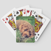 Bonesy Spielkarten (Rückseite)