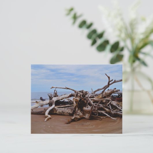 Boneyard Beach Postkarte (Stehend Vorderseite)