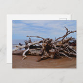 Boneyard Beach Postkarte (Vorne/Hinten)