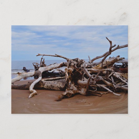 Boneyard Beach Postkarte (Vorderseite)