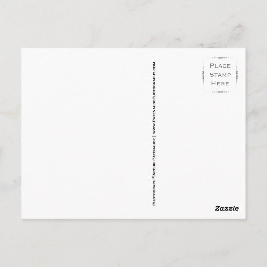 Bonfire bei Postkarten (Rückseite)