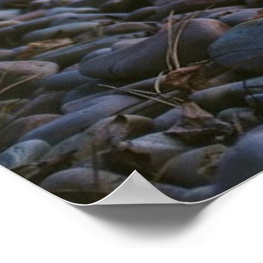 Bonfire Lake Beach Nature Wall Poster (Ecke)