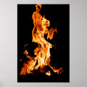 Bonfire Poster (Vorne)
