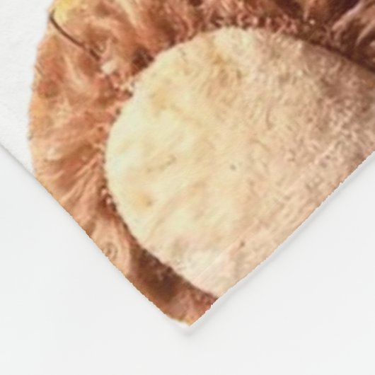 Bonfire tedy Bear Fleecedecke (Ecke)