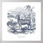 Bongo Antelope Premium Leinwand (Glanz) Poster (Vorne)