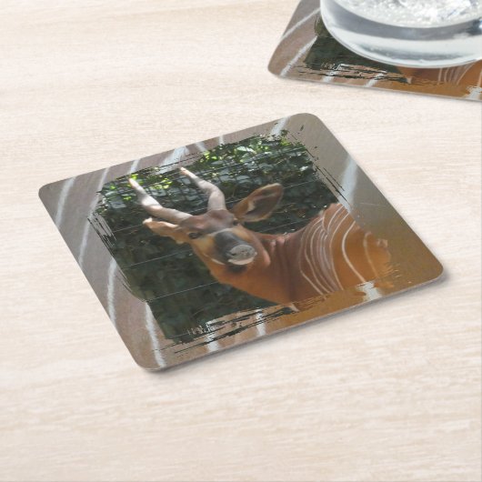 Bongo Antelope & Skin Border Untersetzer (angewinkelt)