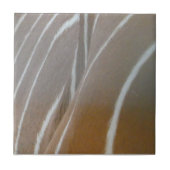 Bongo Antelope Skin Pattern Keramik Tile Fliese (Vorderseite)