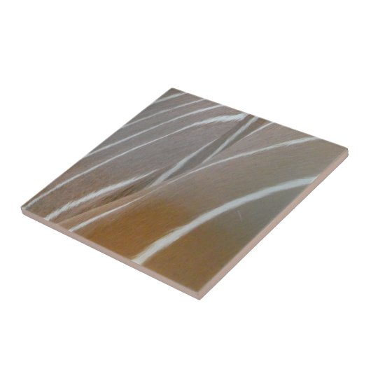 Bongo Antelope Skin Pattern Keramik Tile Fliese (Seite)