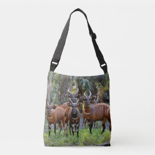 Bongo Crossbody Bag Tragetaschen Mit Langen Trägern