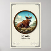 Bongo Zoologie Serie Poster (Vorne)