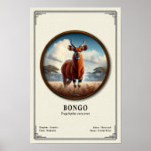 Bongo Zoologie Serie Poster (Vorne)
