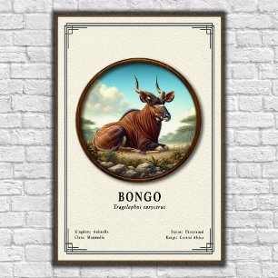 Bongo Zoologie Serie Poster