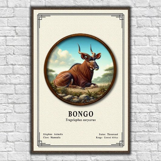 Bongo Zoologie Serie Poster
