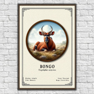 Bongo-Zoologie-Serie Poster