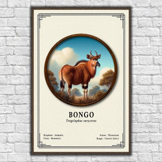 Bongo Zoologie Serie Poster