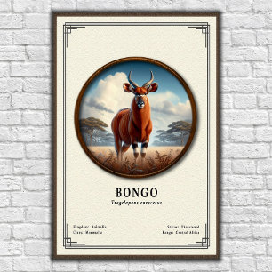 Bongo Zoologie Serie Poster