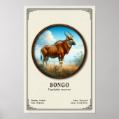 Bongo Zoologie-Serie Poster (Vorne)
