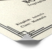 Bongo Zoologie Serie Poster (Ecke)