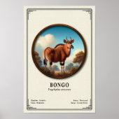 Bongo Zoologie Serie Poster (Vorne)