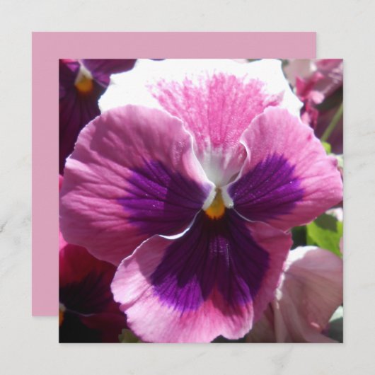 Bonheur (Vorne/Hinten)