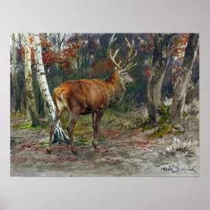Bonheur - Hirsch auf der Wache Poster