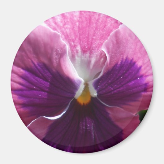 Bonheur Magnet (Vorne)