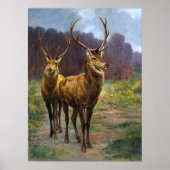 Bonheur - Monarchen des Waldes Poster (Vorne)