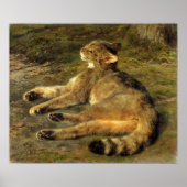 Bonheur - Wild Cat Poster (Vorne)