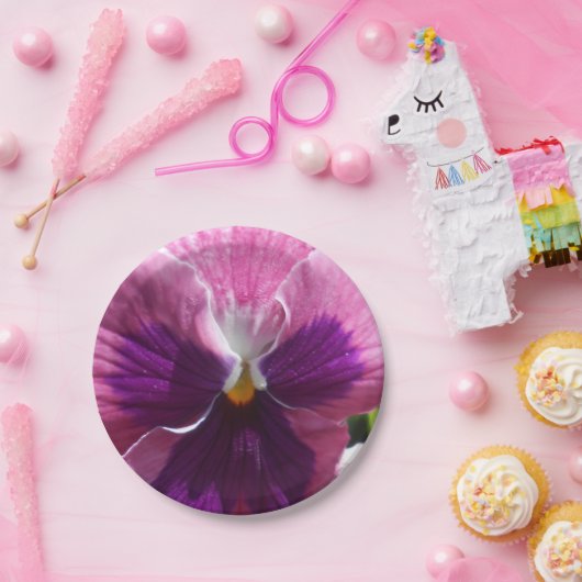 Bonheut Pappteller (Party)