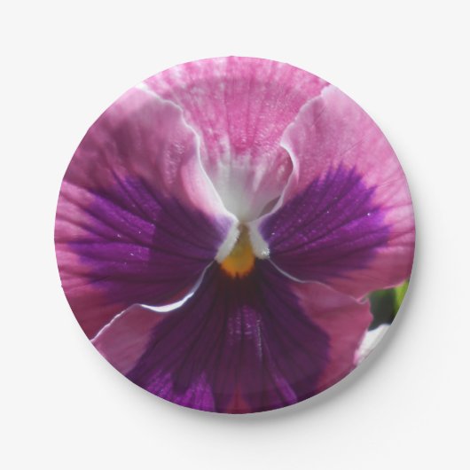 Bonheut Pappteller (Vorderseite)