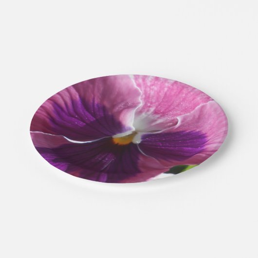 Bonheut Pappteller (Schrägansicht)