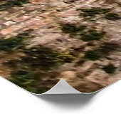 Bonifacius-Brücke in Brügge Poster (Ecke)